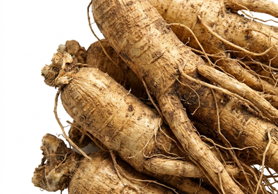 Ginseng Extract